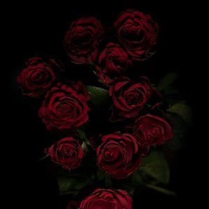 Meet your Posher, Mario bravo